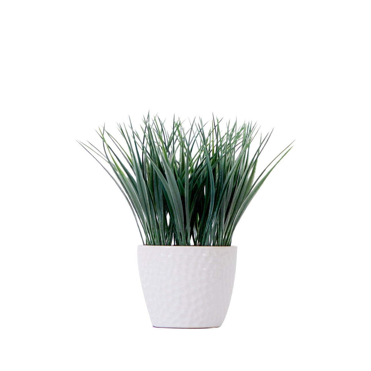 9" Artificial Grass Plant with Decorative Planter-Plant-Parc Decor