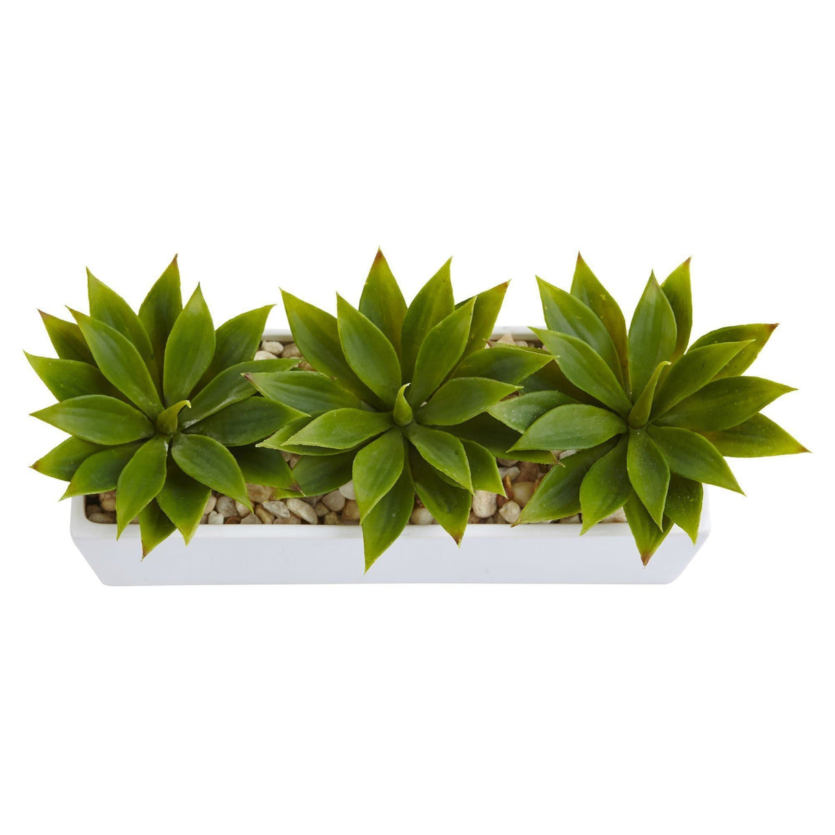 Agave Succulent in Rectangular Planter-Parc Decor