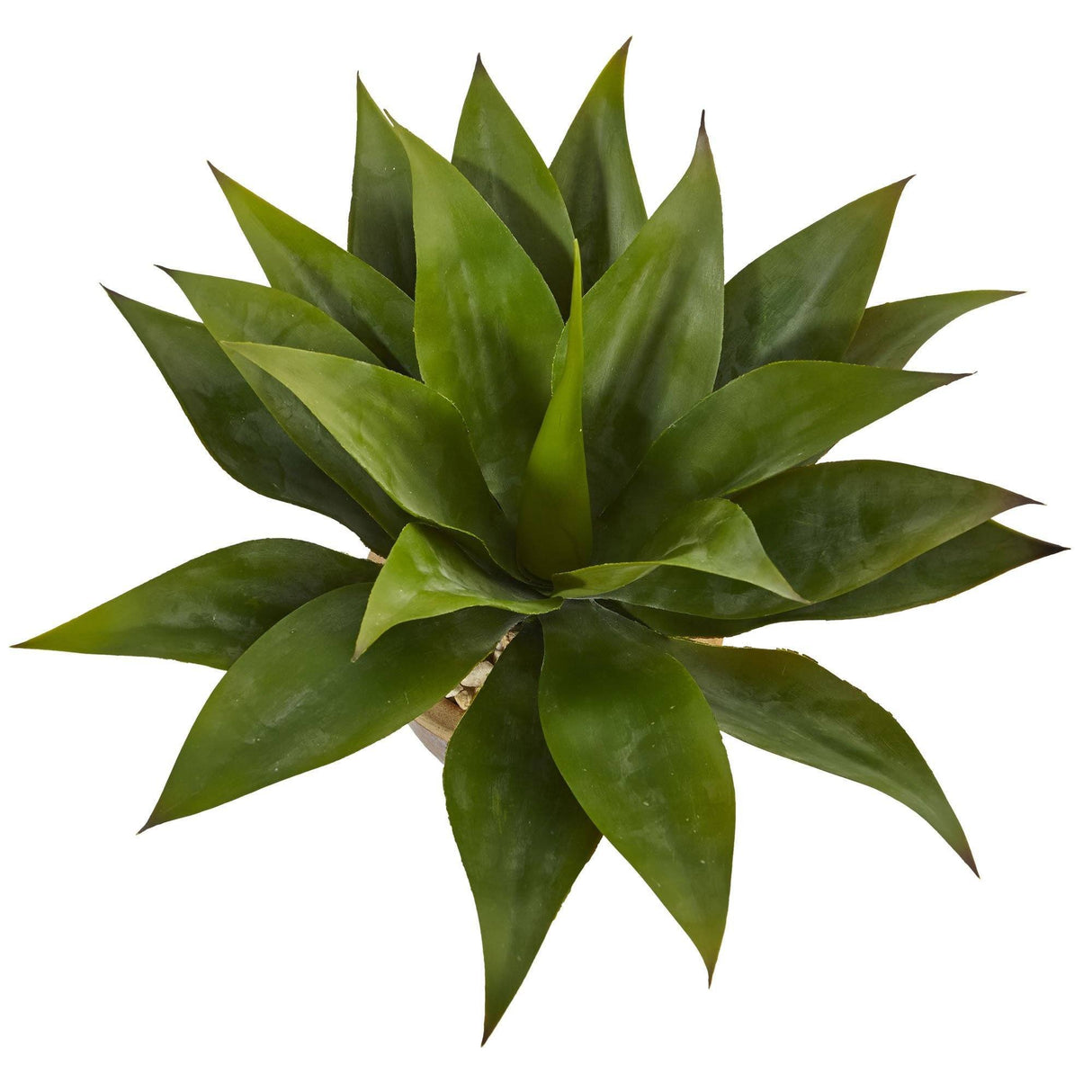 Agave in Glazed Clay Pot-Parc Decor