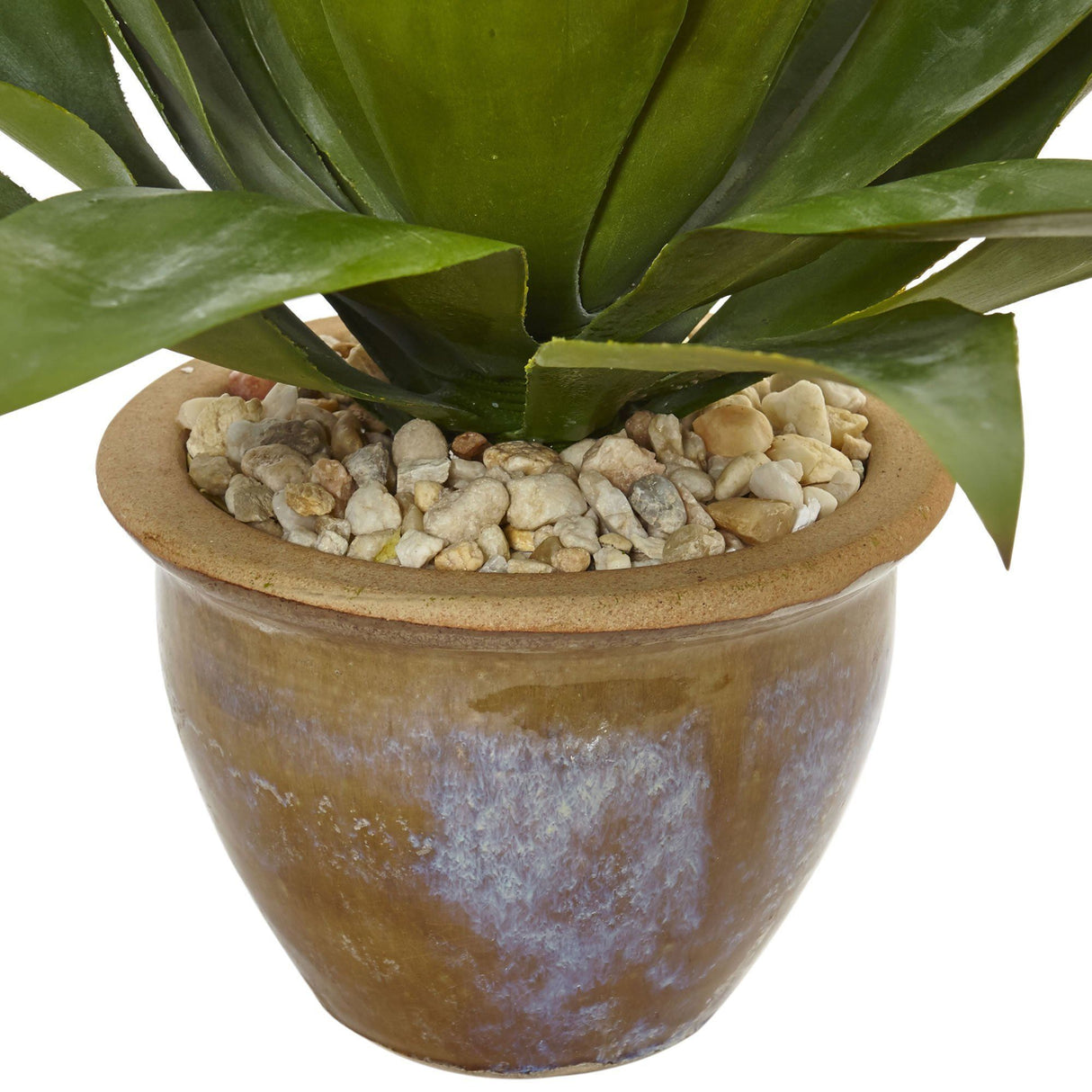 Agave in Glazed Clay Pot-Parc Decor