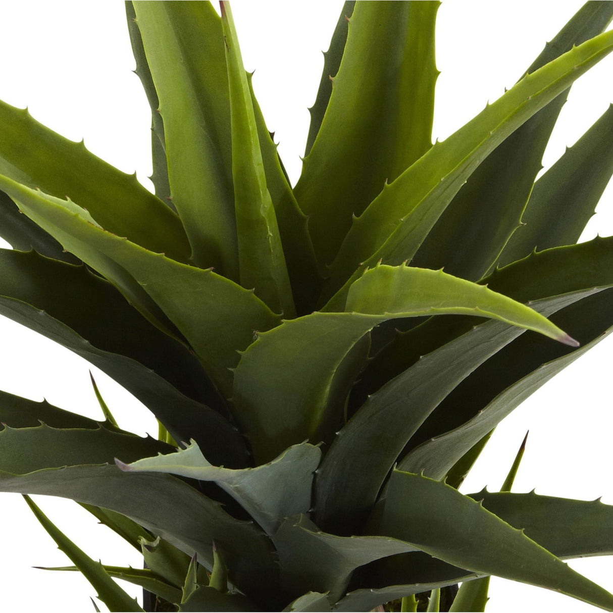 Agave w/Black Planter-Parc Decor