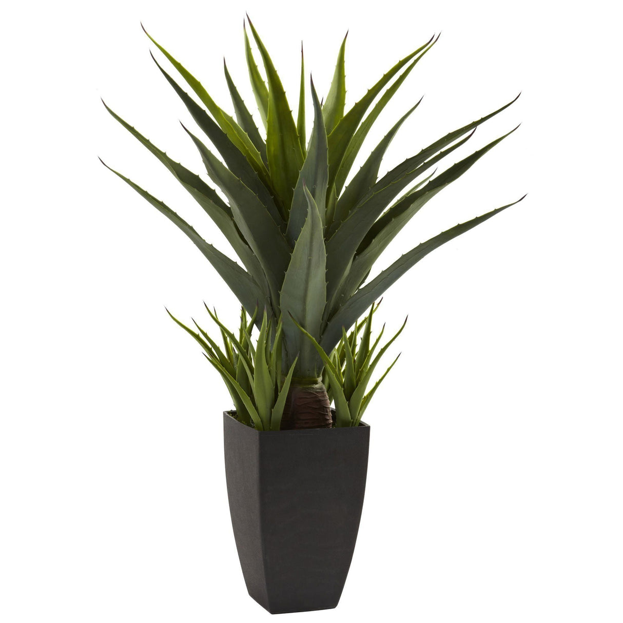 Agave w/Black Planter-Parc Decor