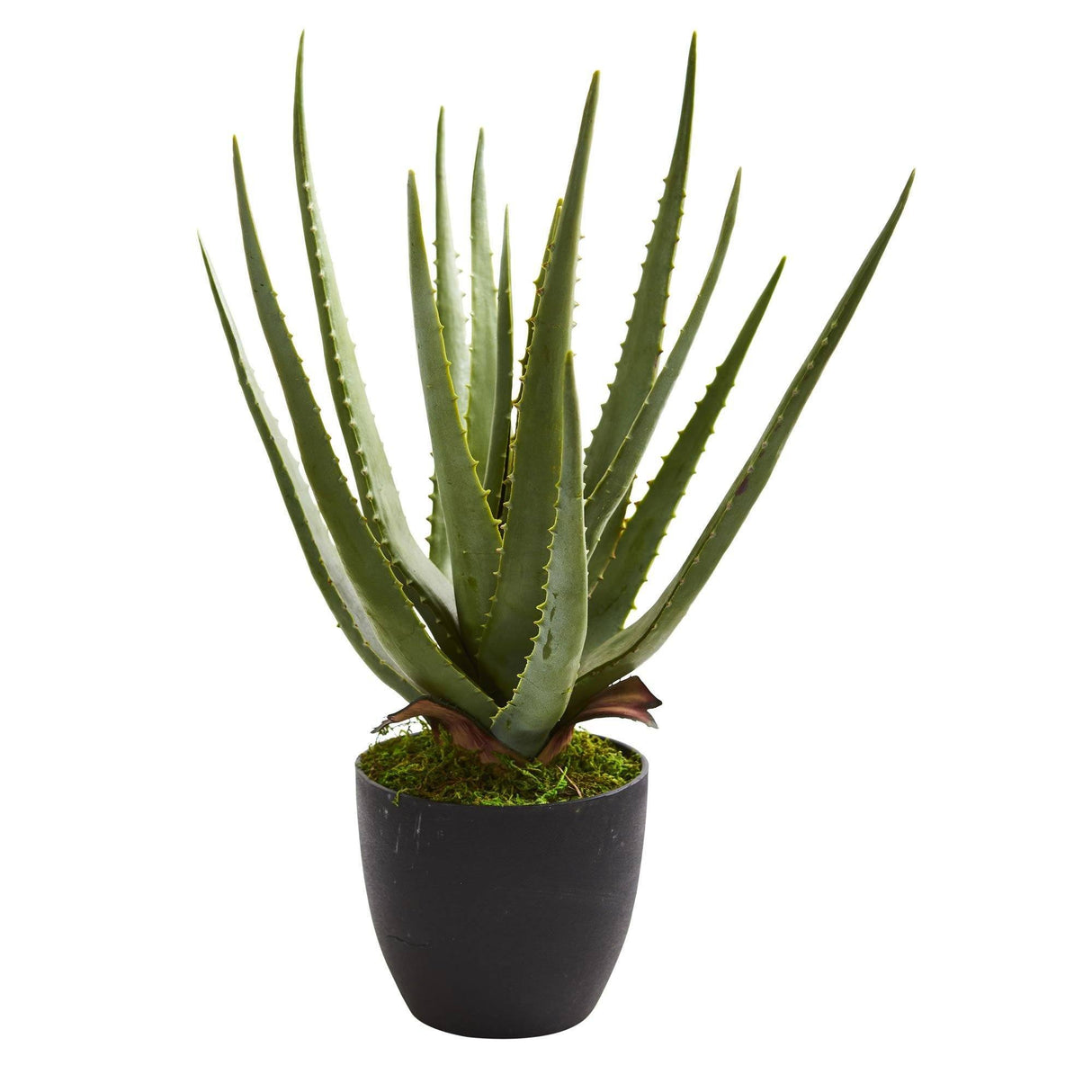 Aloe Artificial Plant (Set of 2)-Parc Decor