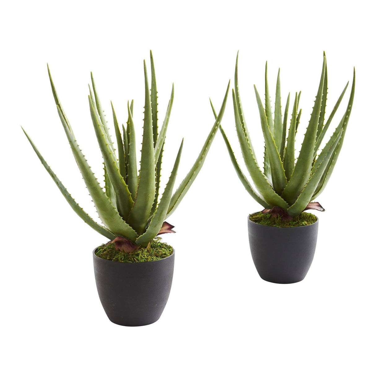 Aloe Artificial Plant (Set of 2)-Parc Decor