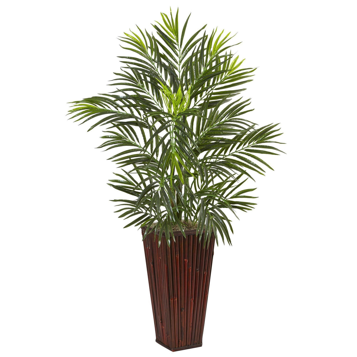 Areca Palm in Bamboo Planter-Parc Decor