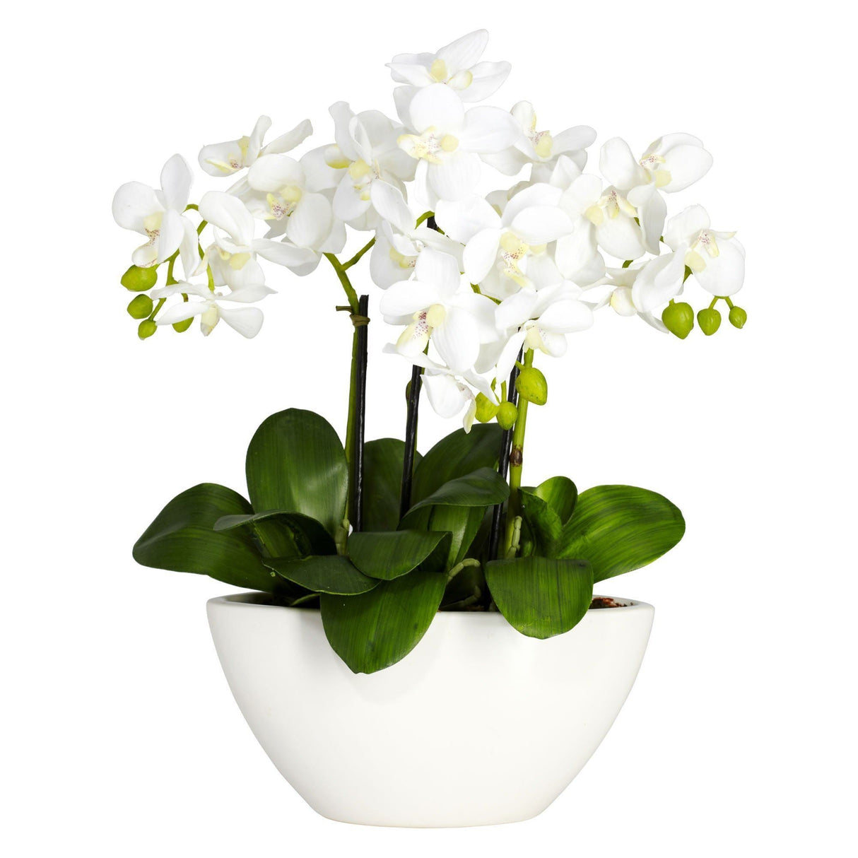 Artificial Phalaenopsis Arrangement-Parc Decor