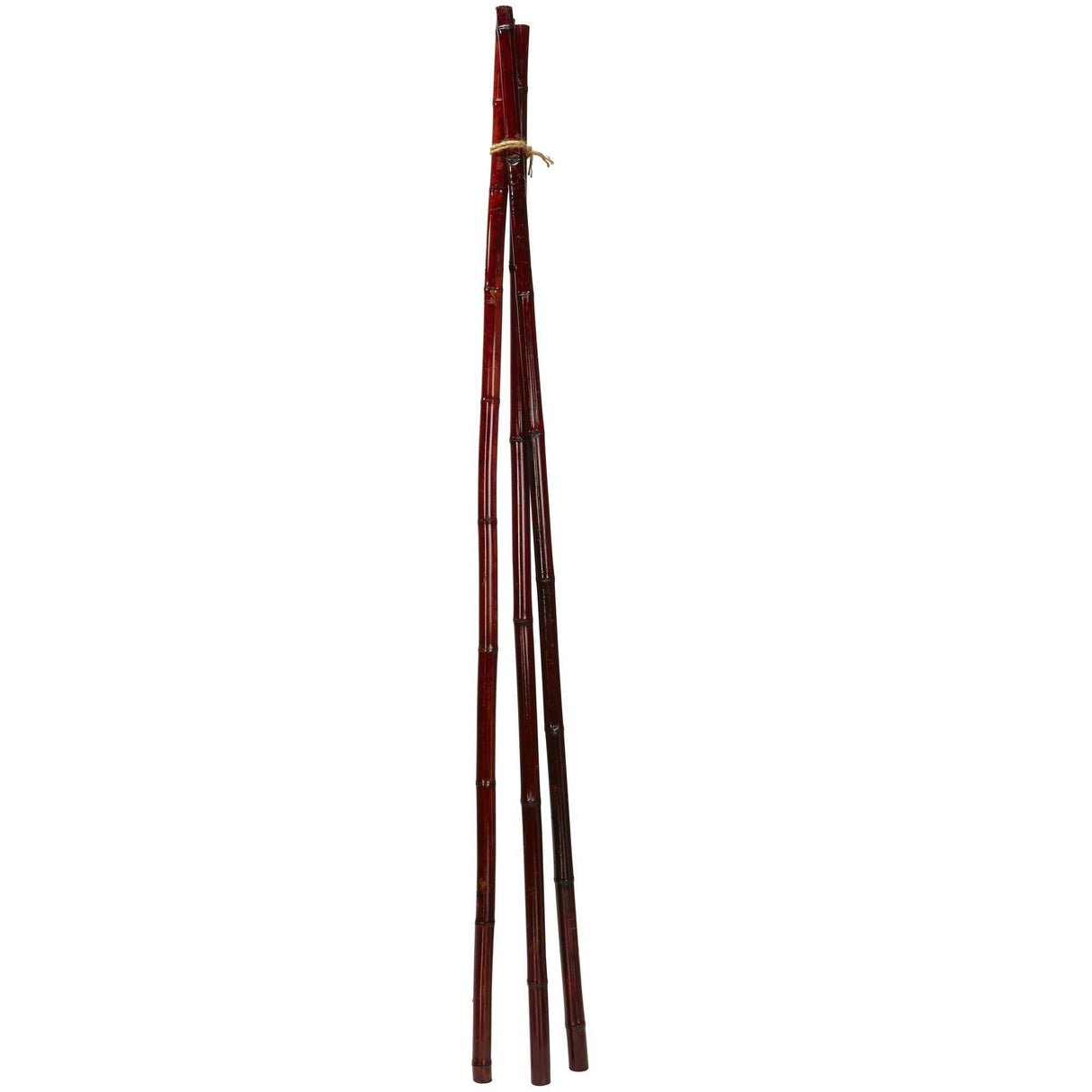 Bamboo Poles (Set of 6)-Parc Decor