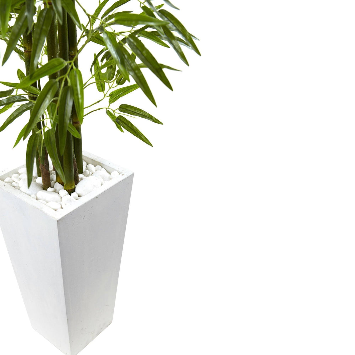 Bamboo Tree with White Planter UV Resistant (Indoor/Outdoor)-Parc Decor