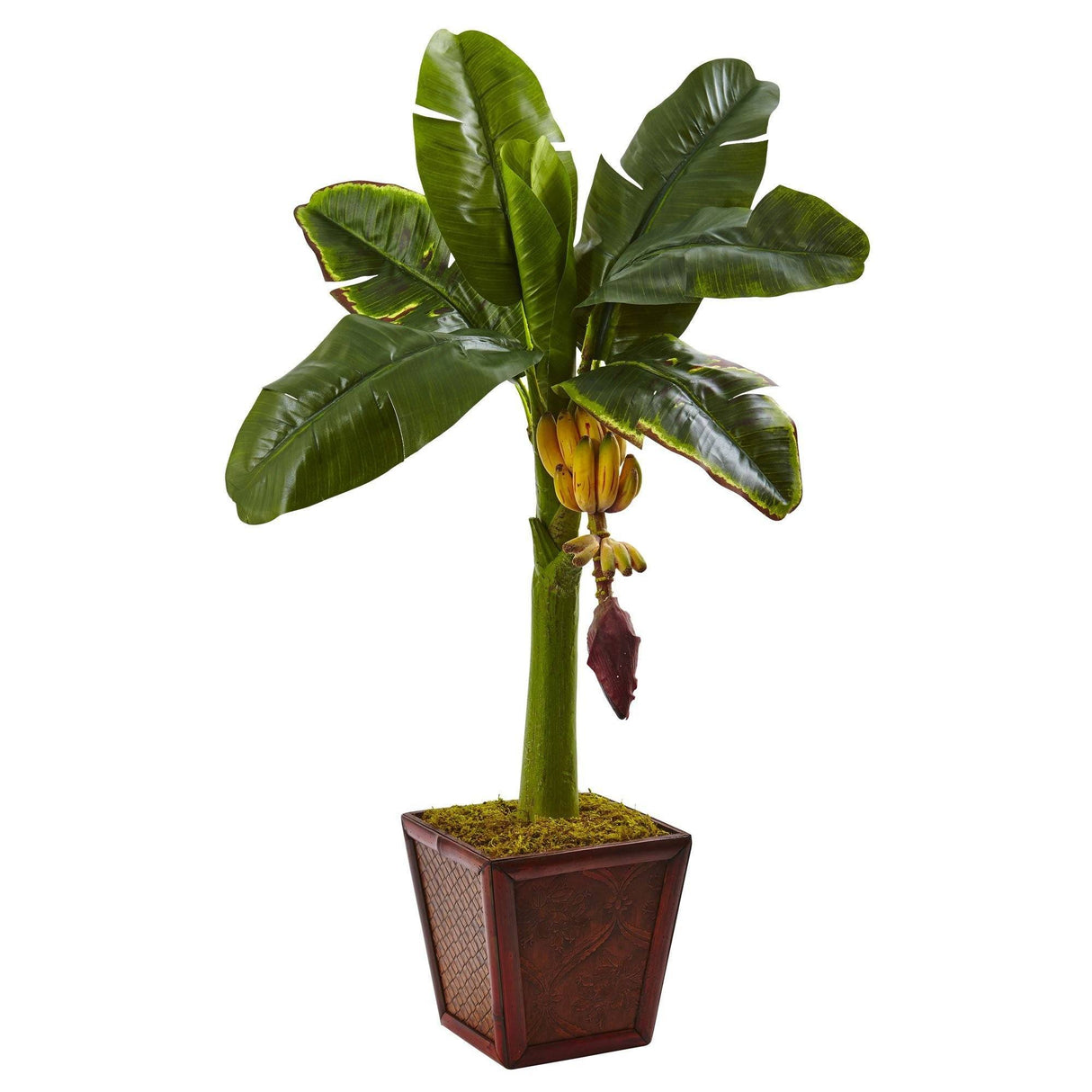 Banana Tree in Wooden Planter-Parc Decor