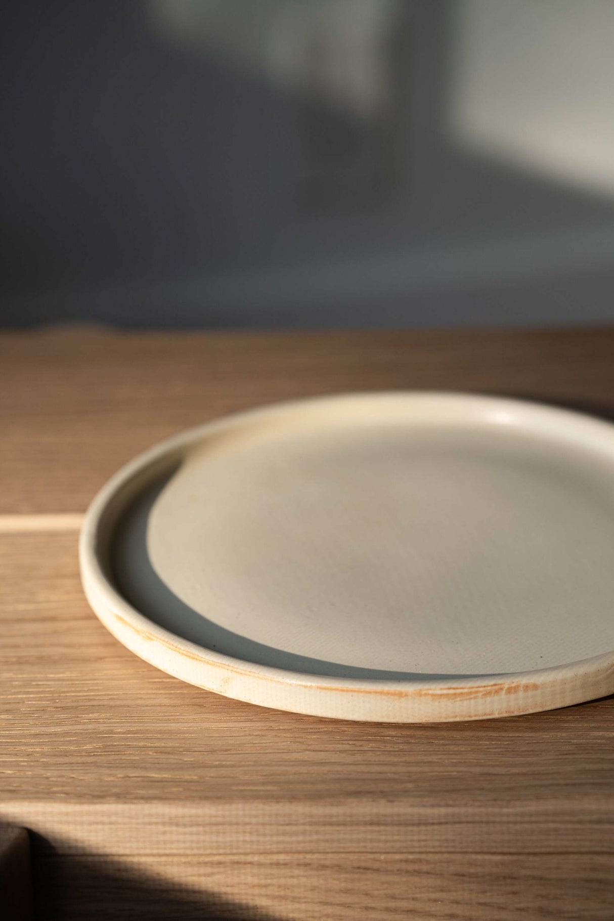 Beige Matte Stoneware Dinner Plates-Parc Decor