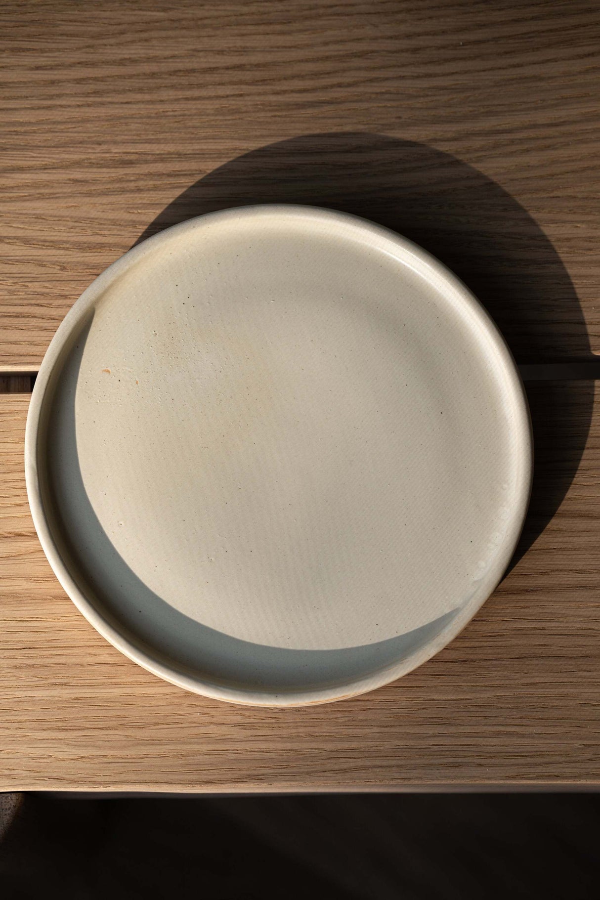 Beige Matte Stoneware Dinner Plates-Parc Decor