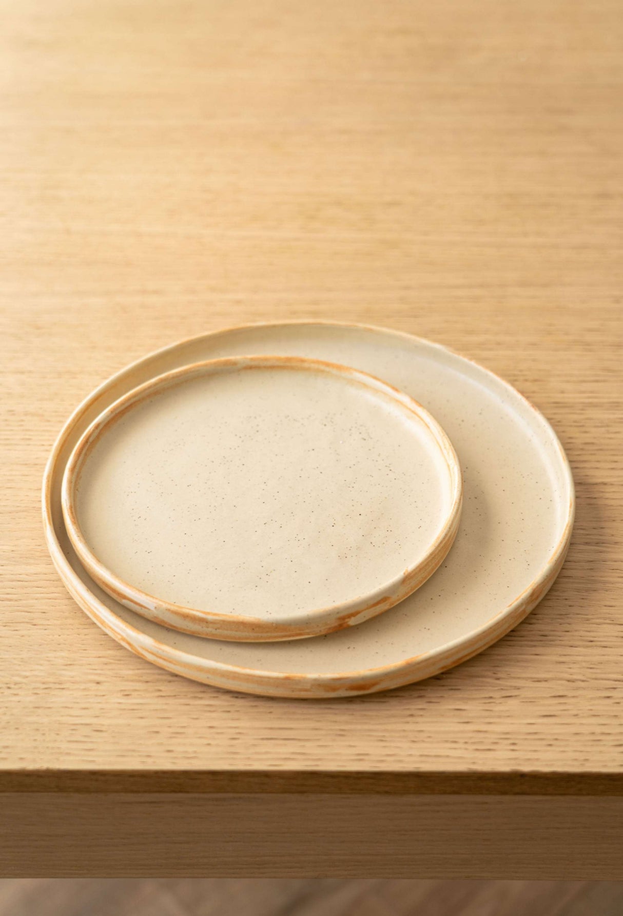 Beige Matte Stoneware Dinner Plates-Parc Decor