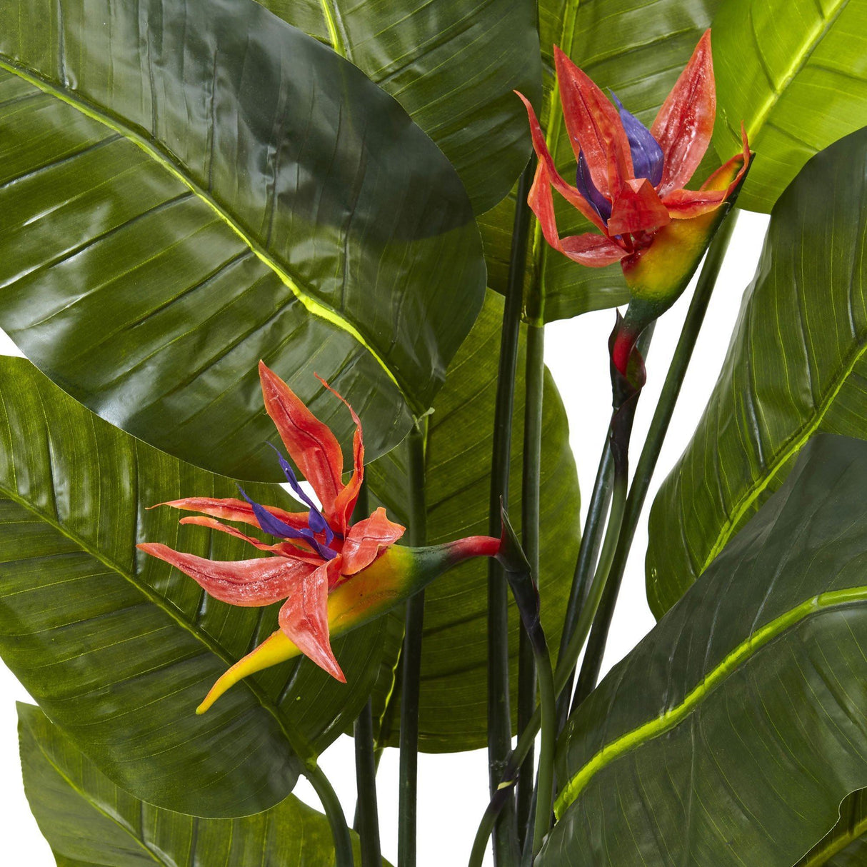 Bird of Paradise Plant (Real Touch)-Parc Decor