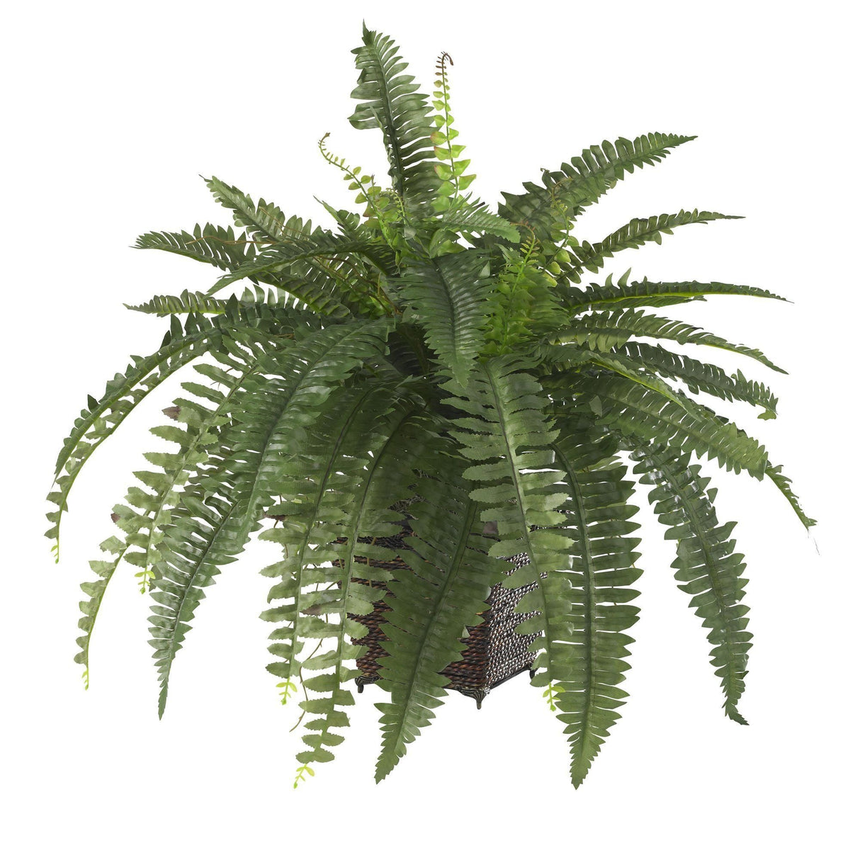 Boston Fern w/Wood Wicker Basket Silk Plant-Parc Decor