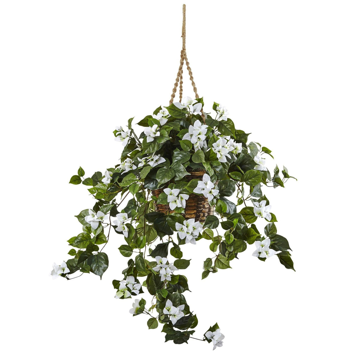 Bougainvillea Hanging Basket-Parc Decor
