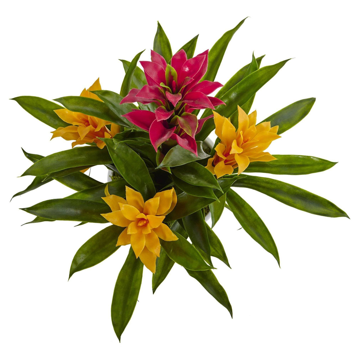 Bromeliad in White Swirl Vase-Parc Decor