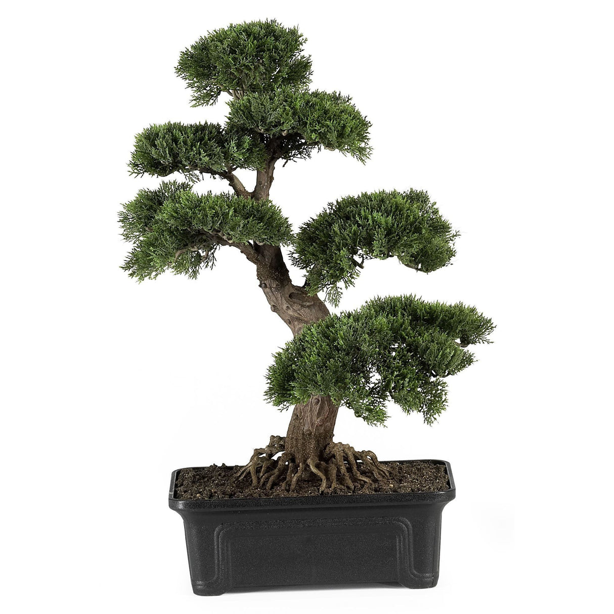 Cedar Bonsai 24" Silk Plant"-Parc Decor