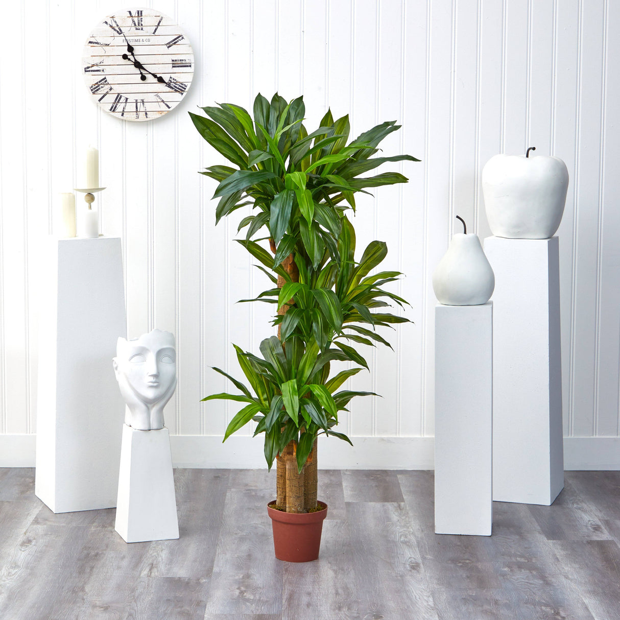 Corn Stalk Dracaena Silk Plant (Real Touch)-Parc Decor