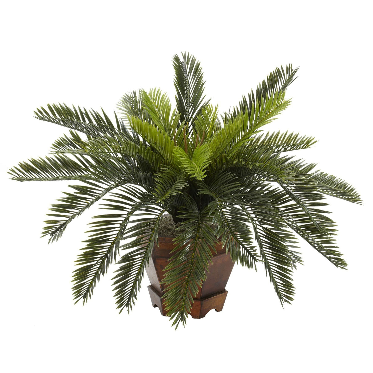 Cycas w/Hexagon Vase Silk Plant-Parc Decor