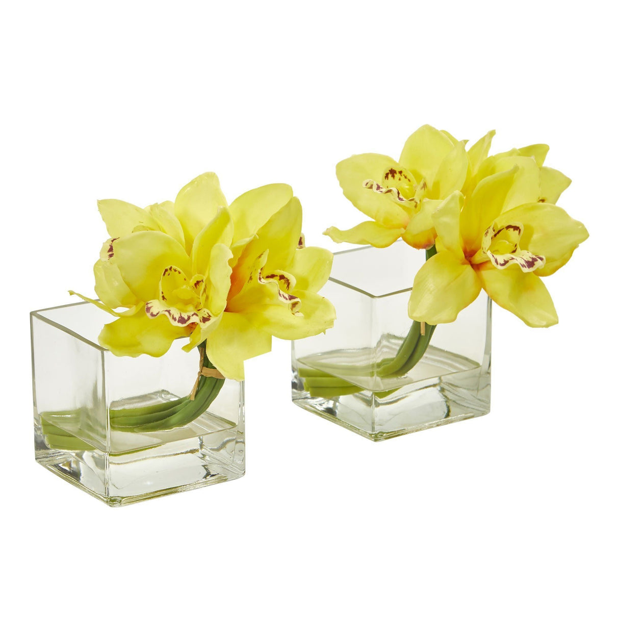 Cymbidium Orchid Artificial Arrangement in Glass Vase (Set of 2)-Parc Decor