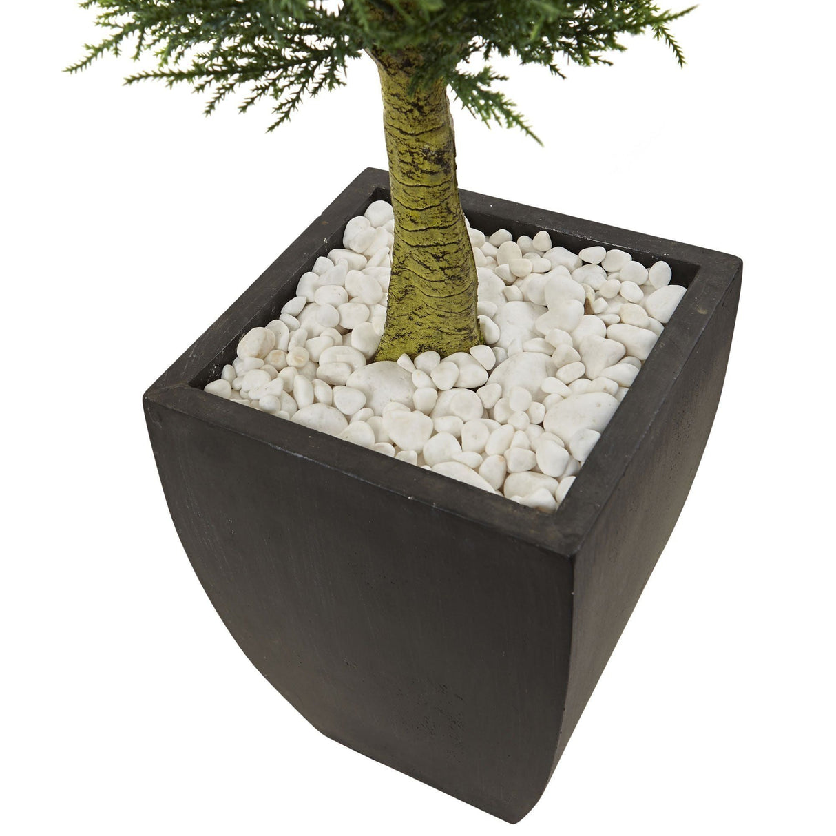 Cypress Topiary with Black Planter UV Resistant (Indoor/Outdoor)-Parc Decor