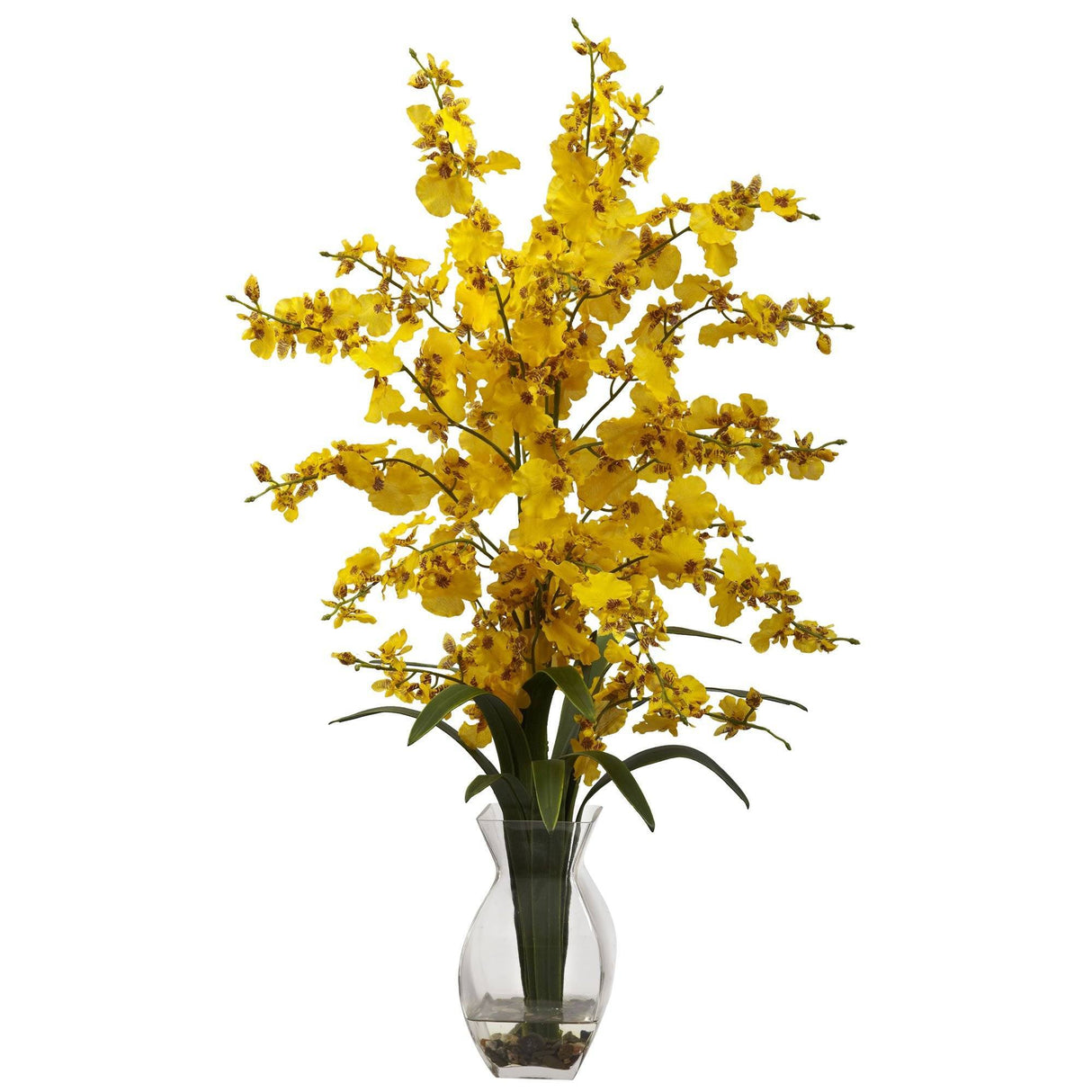 Dancing Lady Orchid w/Vase Arrangement-Parc Decor