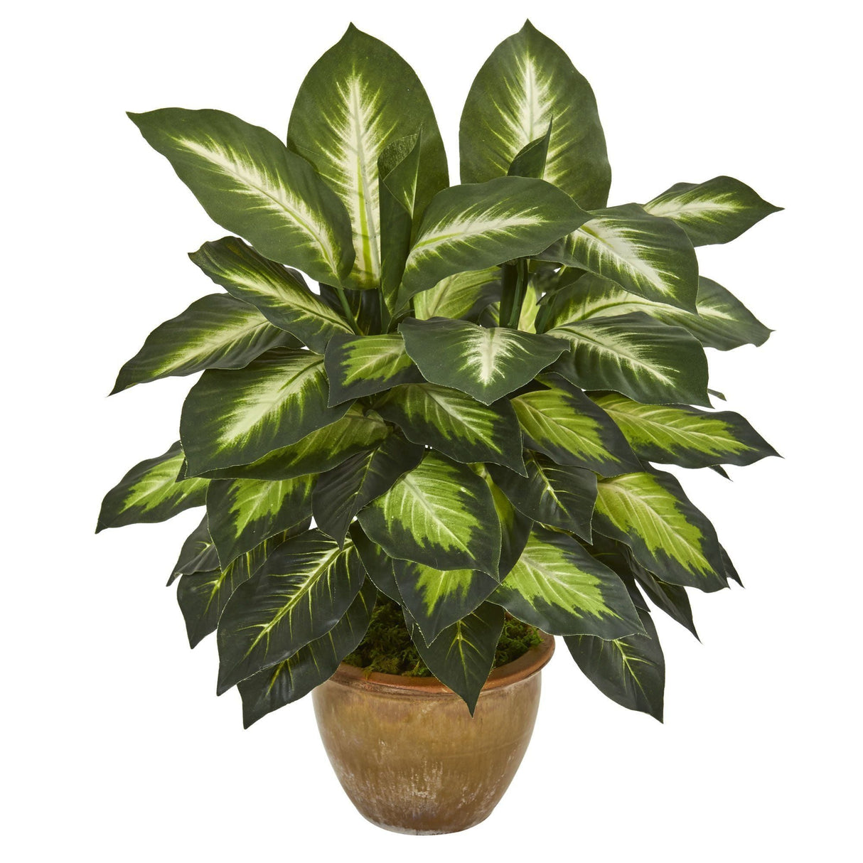 Dieffenbachia Artificial Plant in Ceramic Planter-Parc Decor