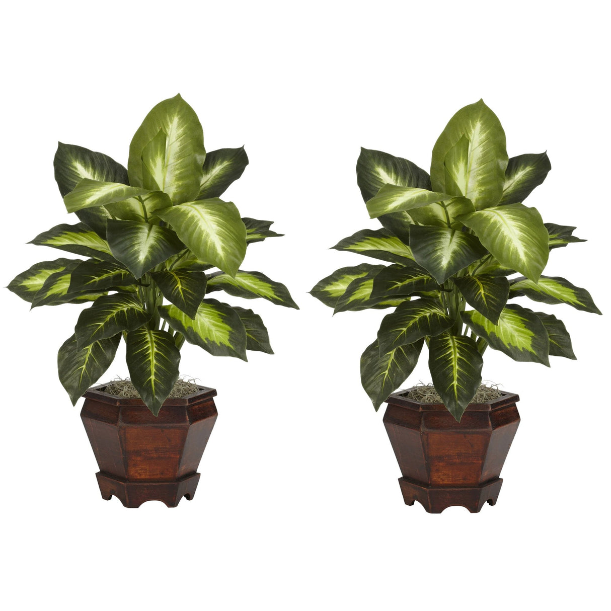 Dieffenbachia w/Wood Vase Silk Plant (Set of 2)-Parc Decor