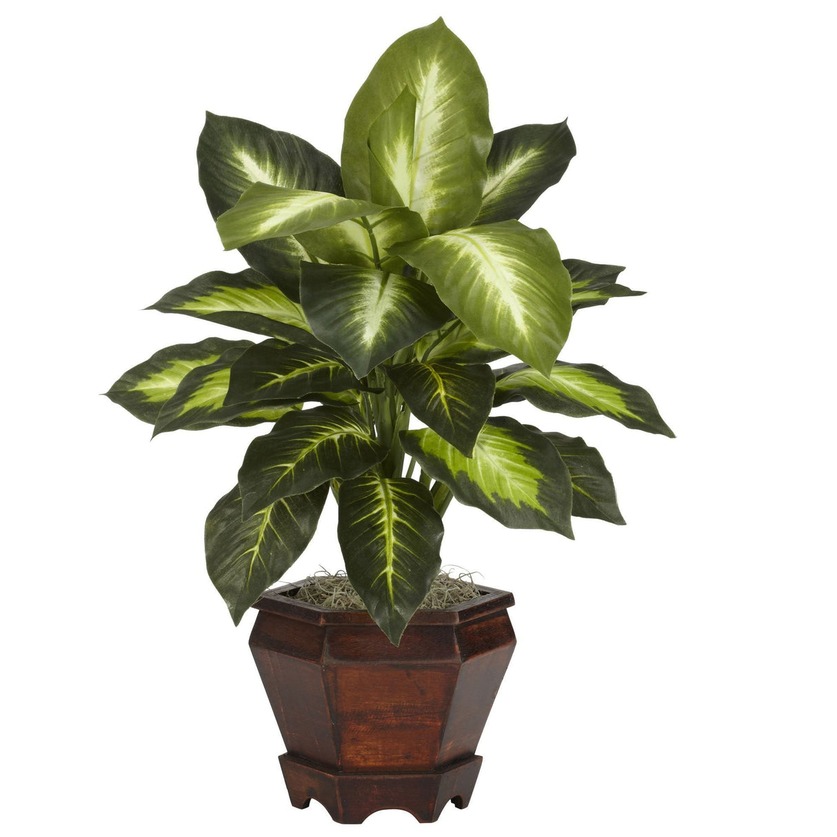 Dieffenbachia w/Wood Vase Silk Plant (Set of 2)-Parc Decor