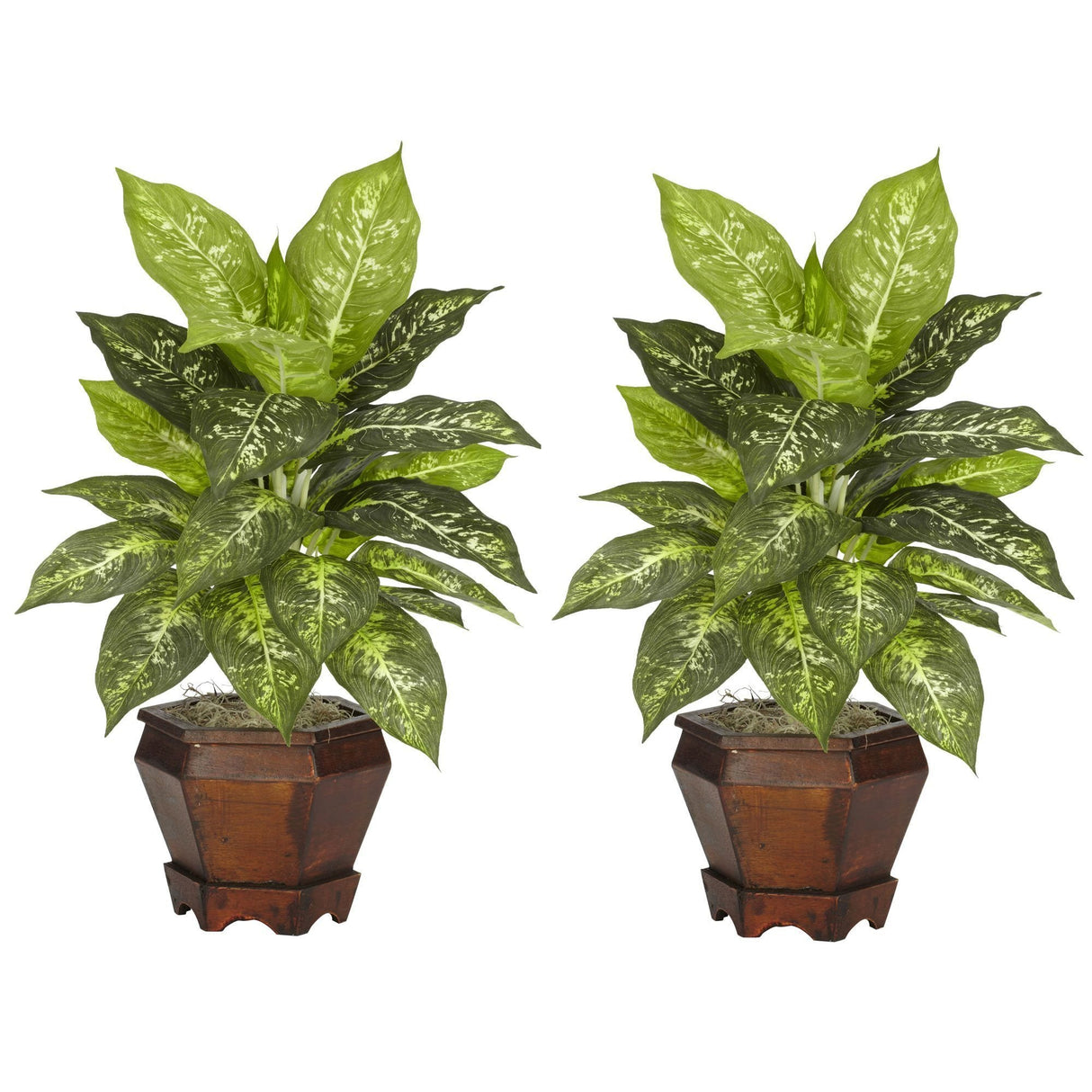Dieffenbachia w/Wood Vase Silk Plant (Set of 2)-Parc Decor