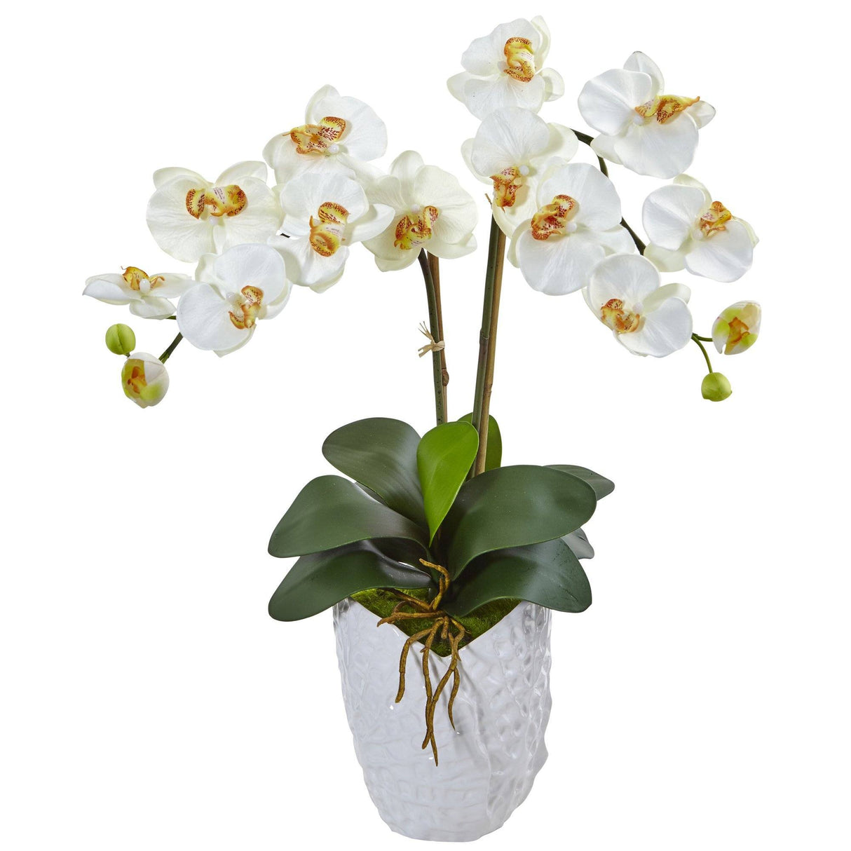 Double Phalaenopsis Orchid in White Vase-Parc Decor
