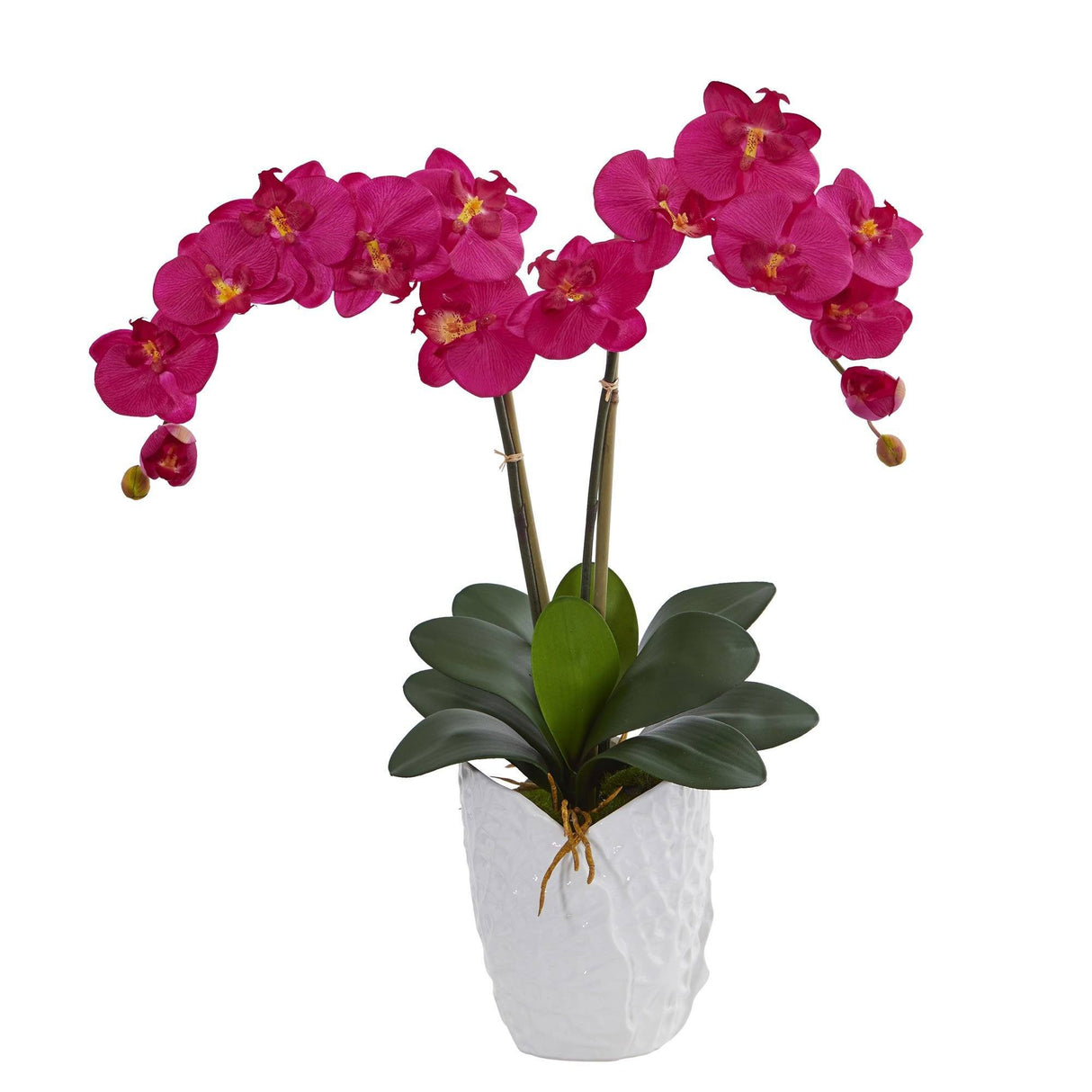 Double Phalaenopsis Orchid in White Vase-Parc Decor