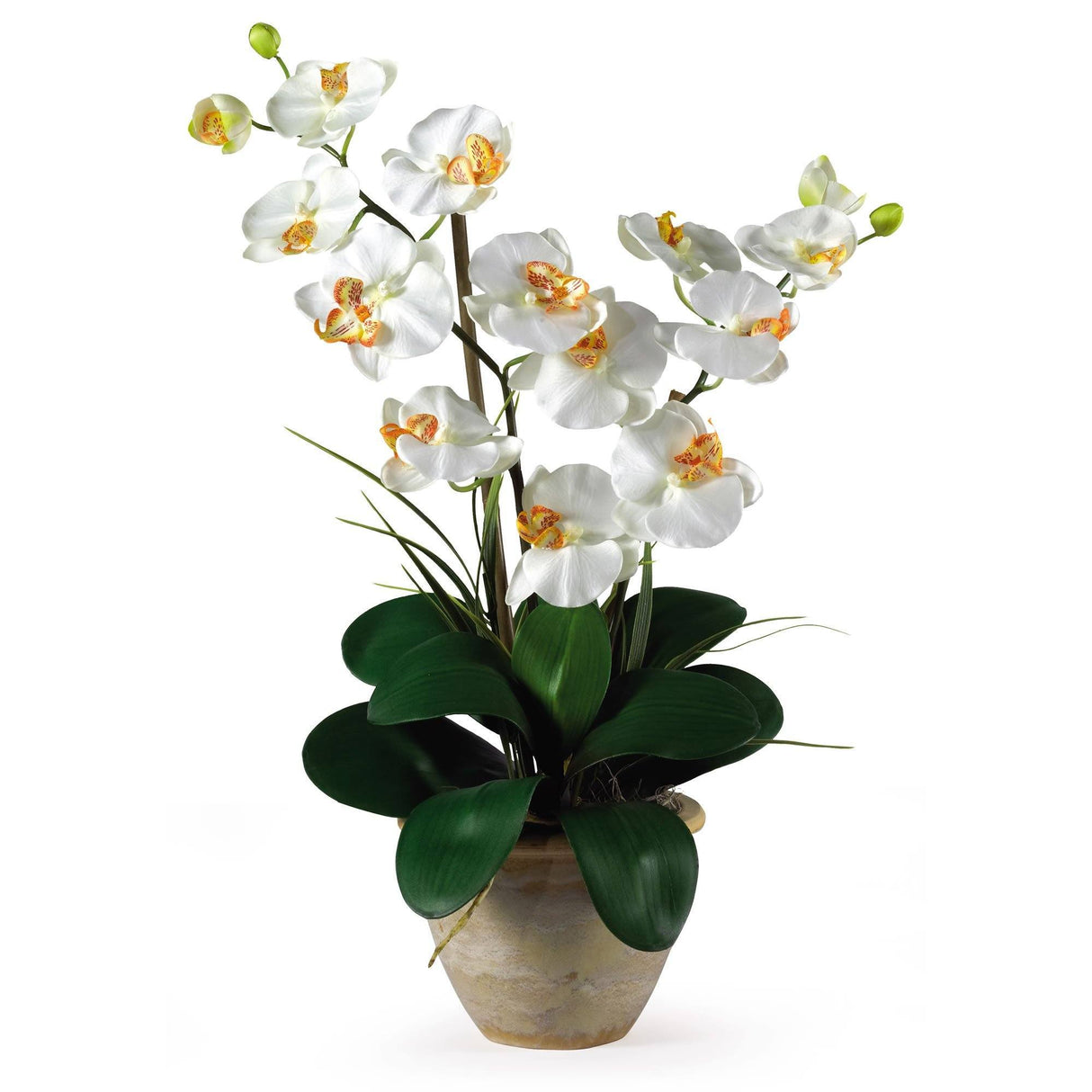 Double Stem Phalaenopsis Silk Orchid Arrangement-Parc Decor