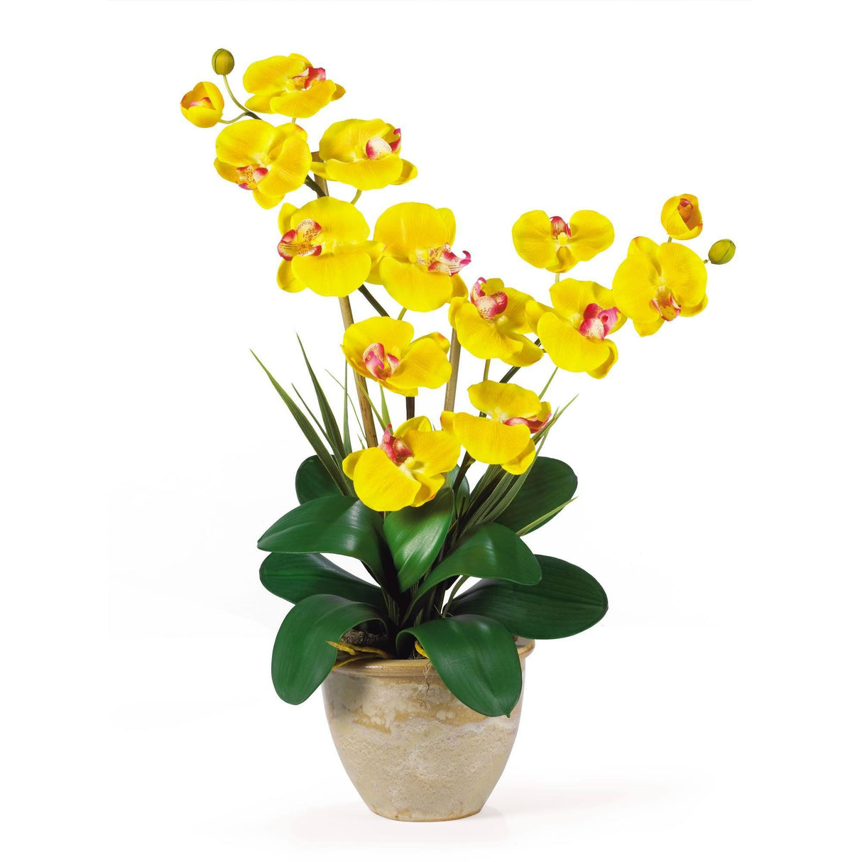Double Stem Phalaenopsis Silk Orchid Arrangement-Parc Decor