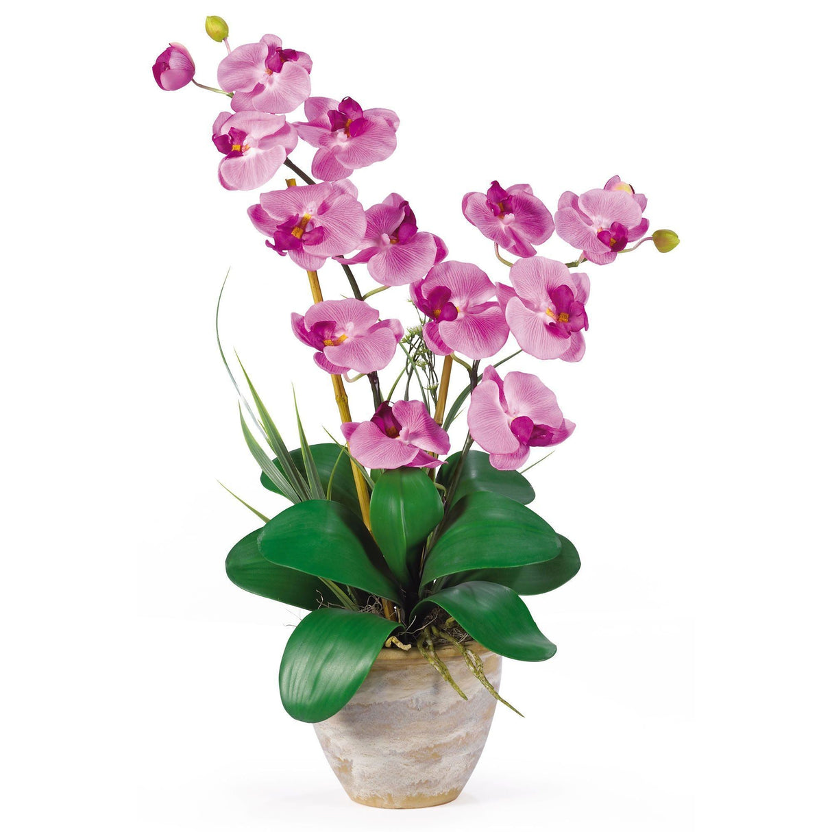 Double Stem Phalaenopsis Silk Orchid Arrangement-Parc Decor