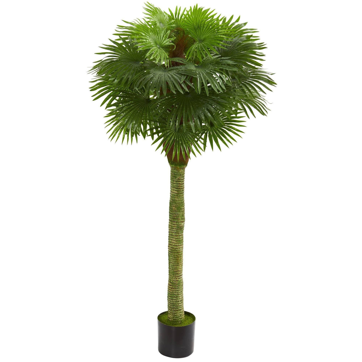 Fan Palm Artificial Tree UV Resistant (Indoor/Outdoor)-Parc Decor
