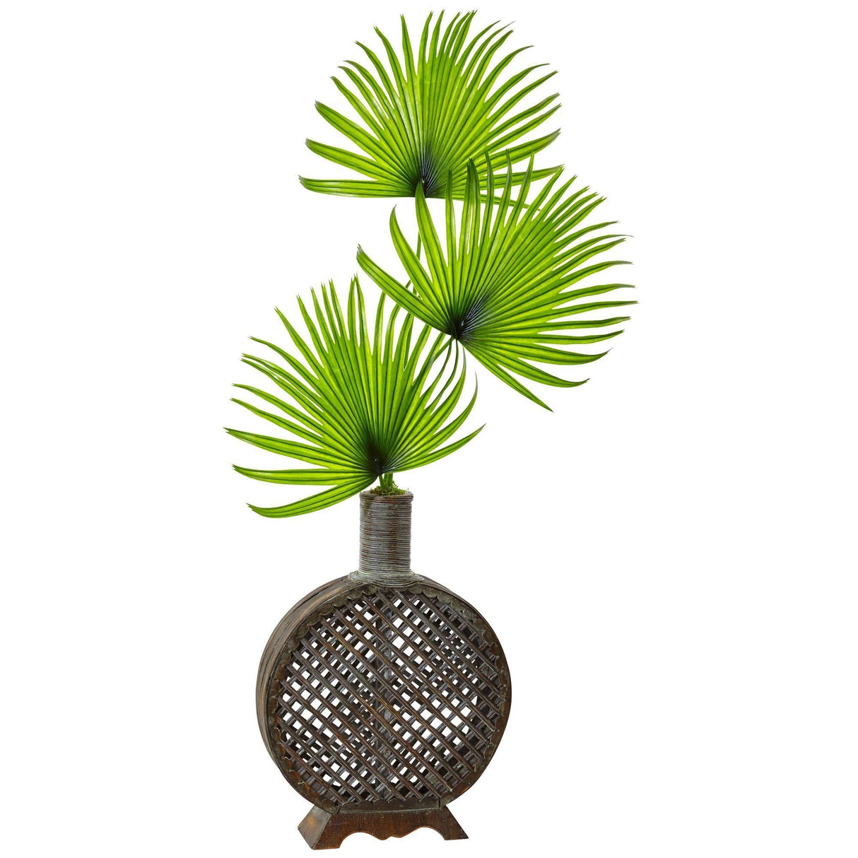 Fan Palm in Open Weave Vase-Parc Decor