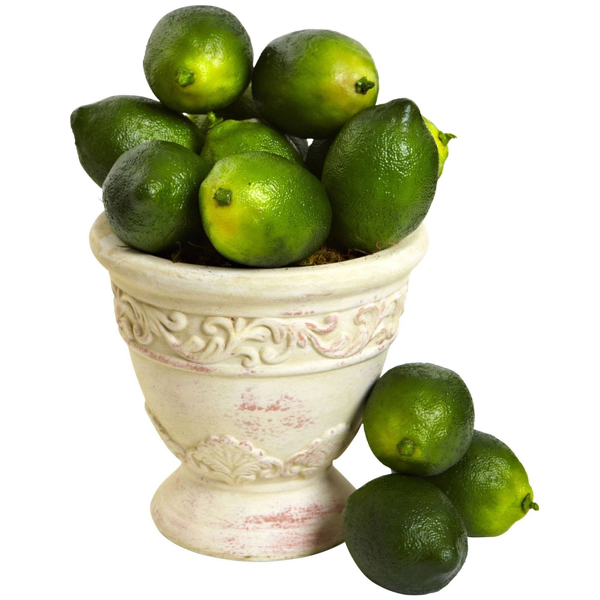 Faux Limes (Set of 12)-Parc Decor