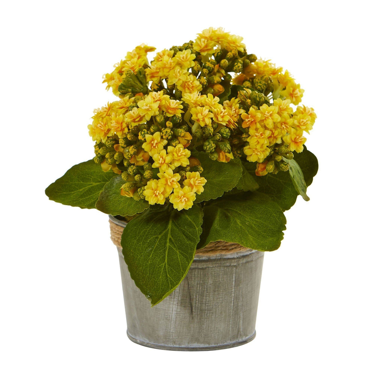 Kalanchoe Artificial Arrangements (Set of 3)-Parc Decor