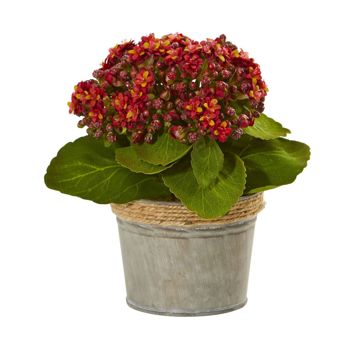 Kalanchoe Artificial Arrangements (Set of 3)-Parc Decor