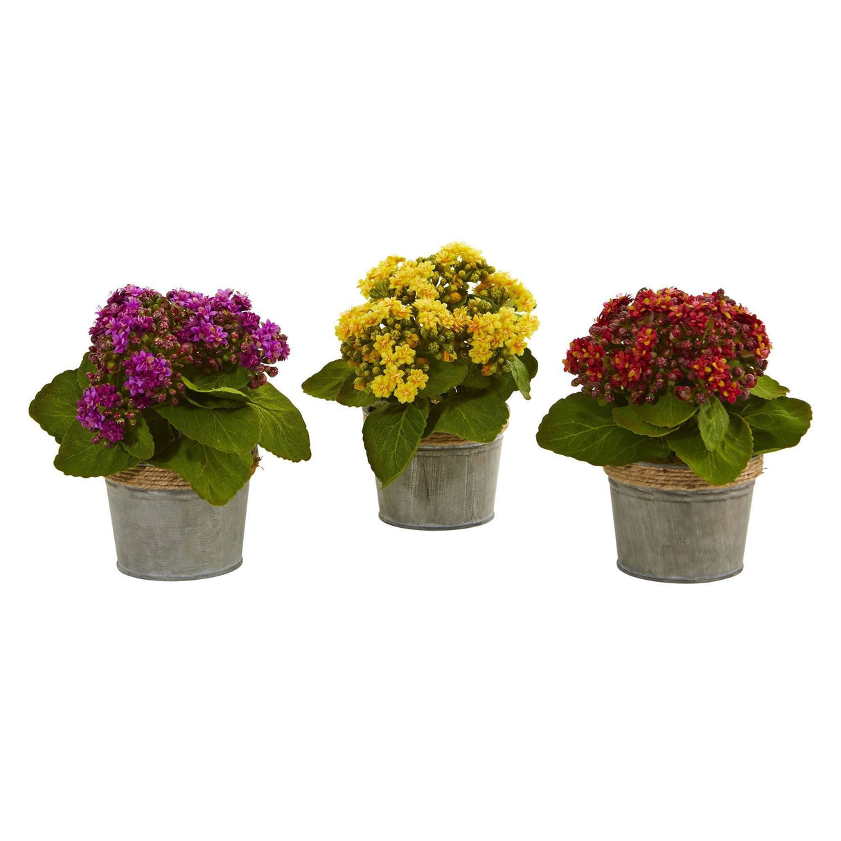 Kalanchoe Artificial Arrangements (Set of 3)-Parc Decor