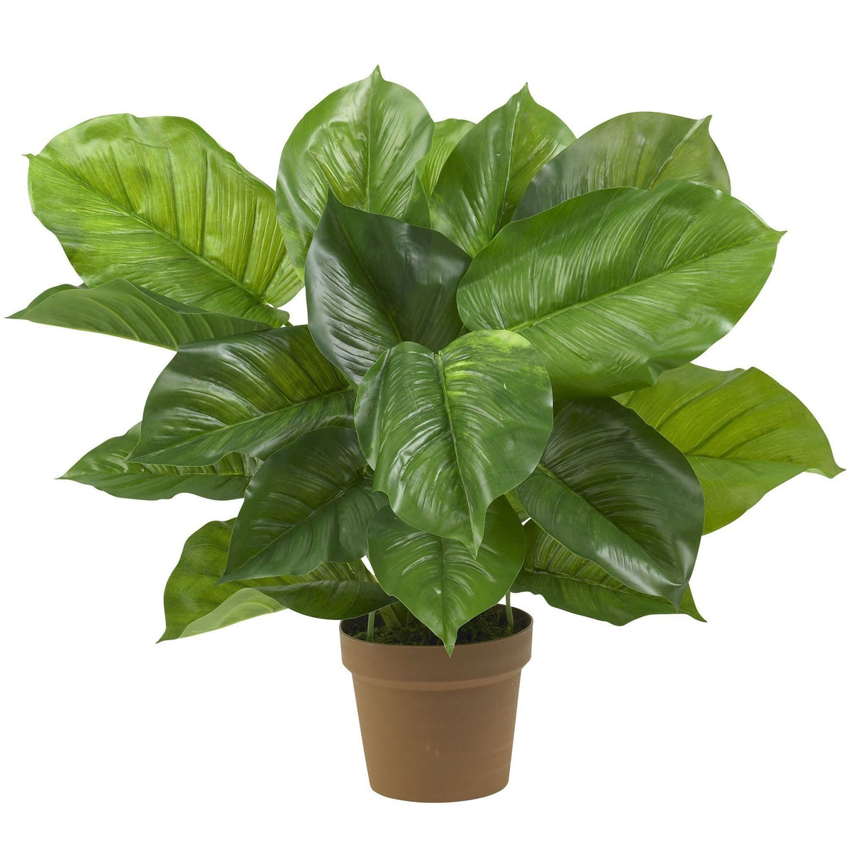 Large Leaf Philodendron Silk Plant (Real Touch)-Parc Decor