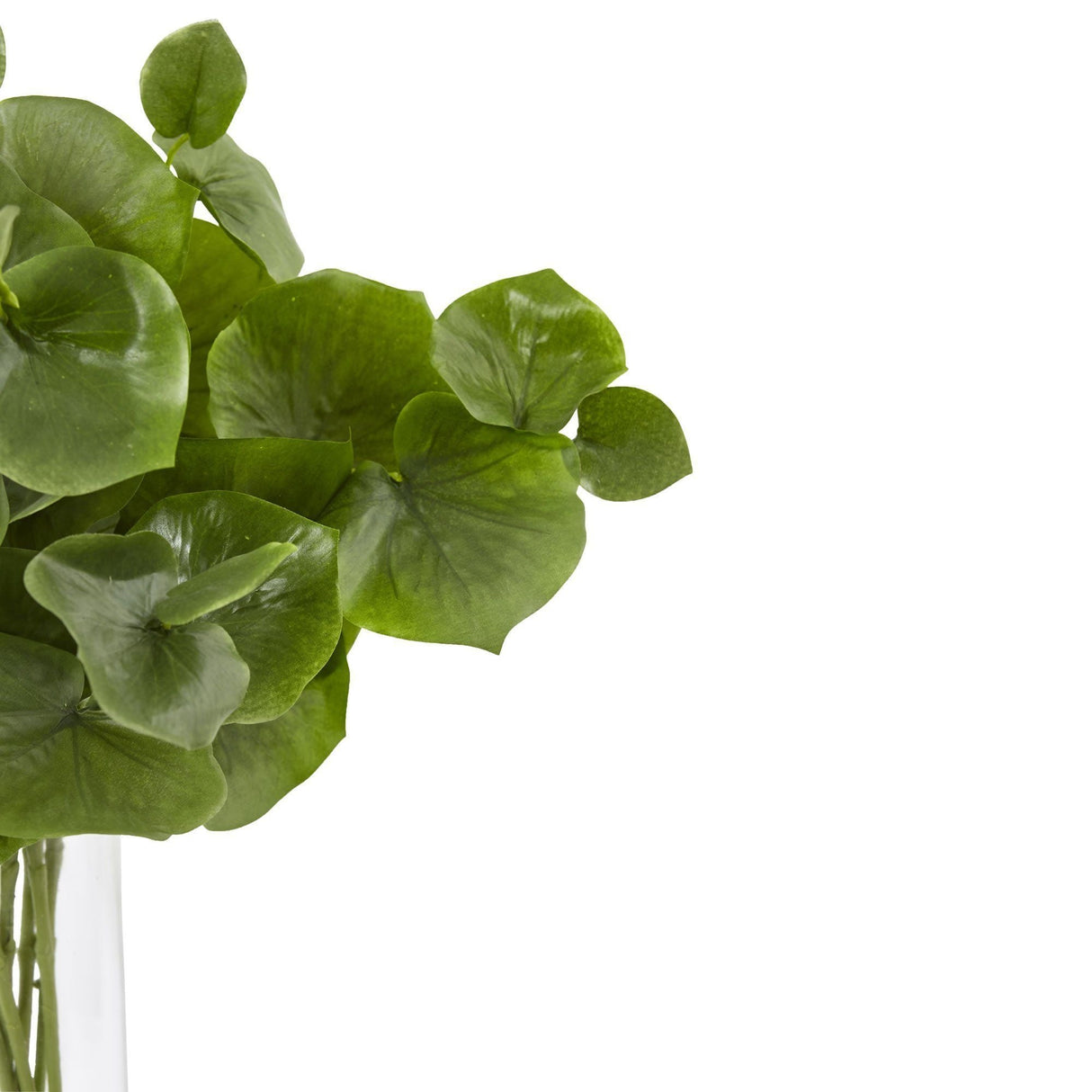 Lotus Branch Arrangement-Parc Decor