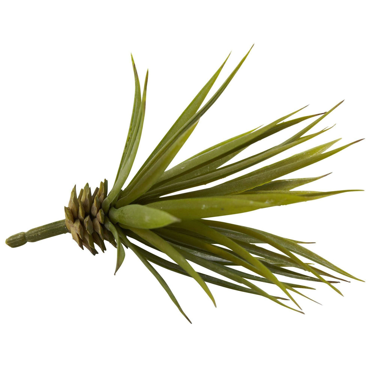 Mini Spiky Agave Succulent Plant (Set of 12)-Parc Decor