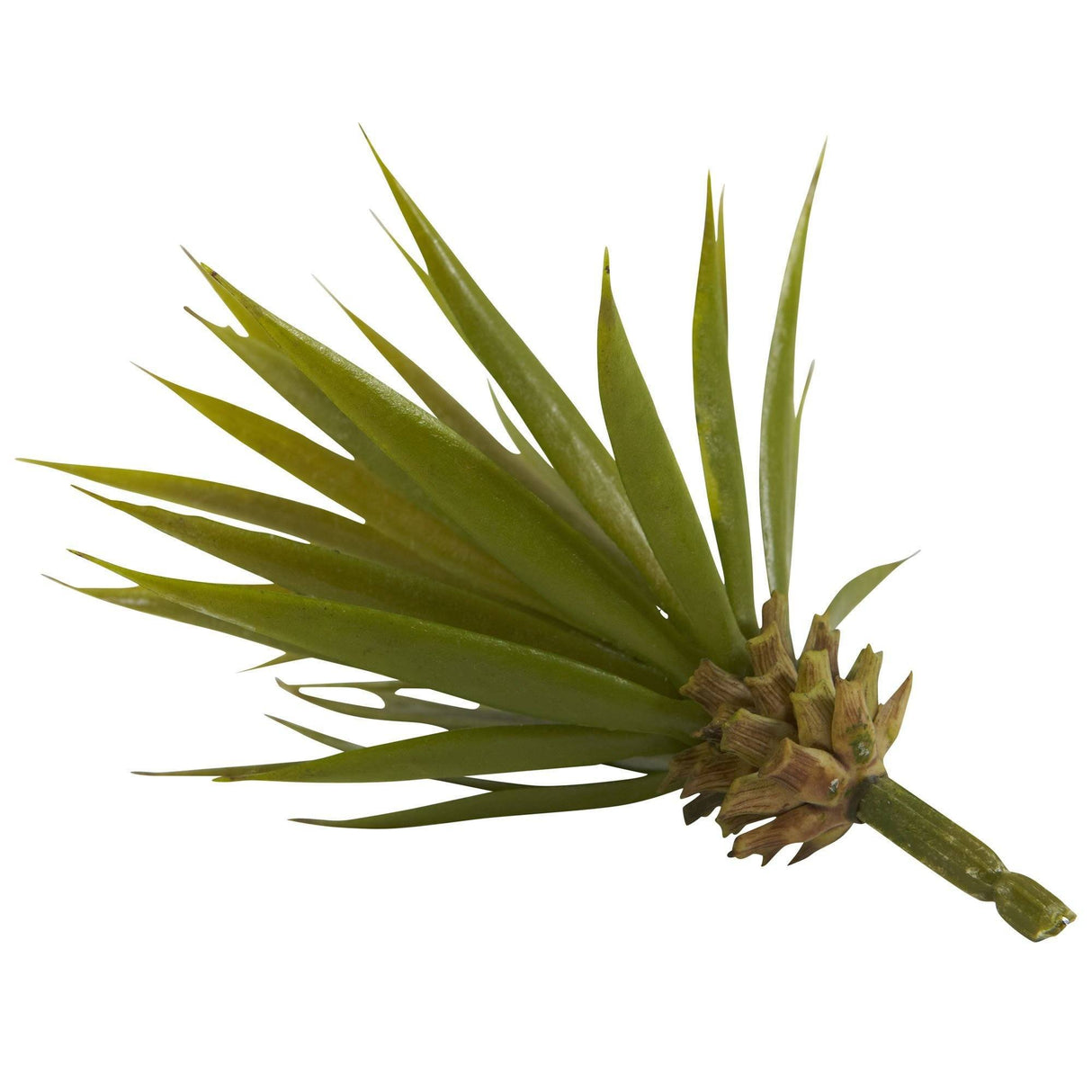 Mini Spiky Agave Succulent Plant (Set of 12)-Parc Decor