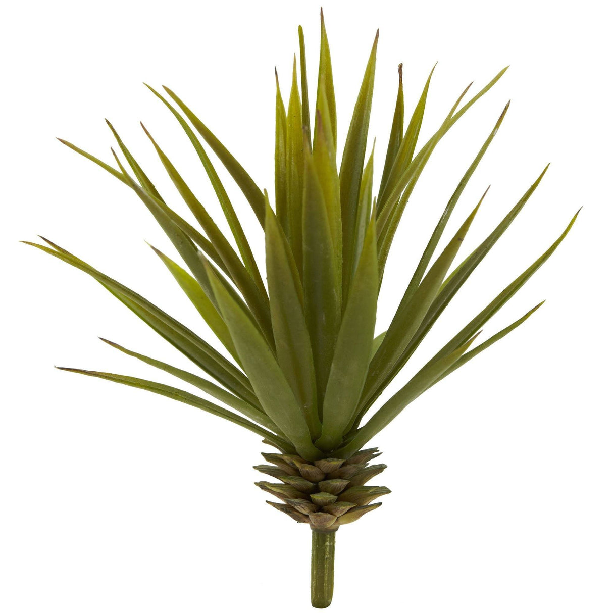 Mini Spiky Agave Succulent Plant (Set of 12)-Parc Decor