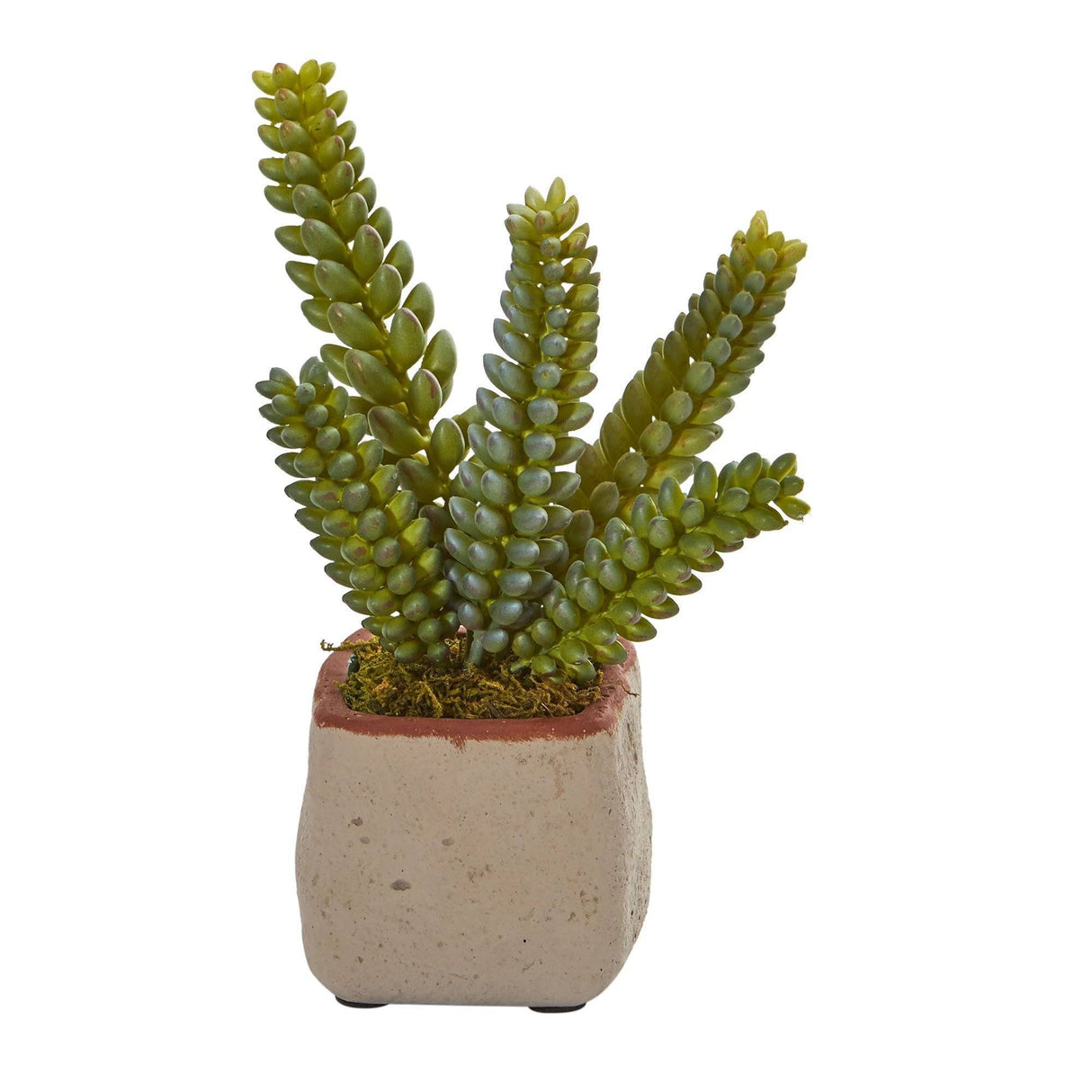 Mixed Succulent Artificial Plant (Set of 4)-Parc Decor