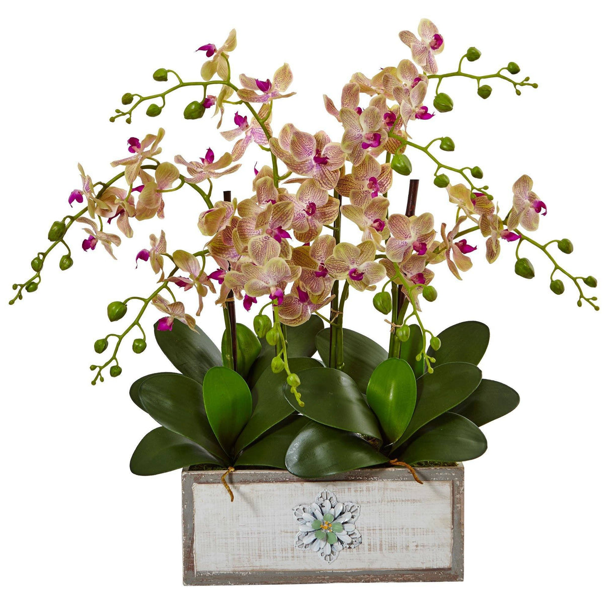 Phalaenopsis Orchid Arrangement in Decorative Wood Vase-Parc Decor