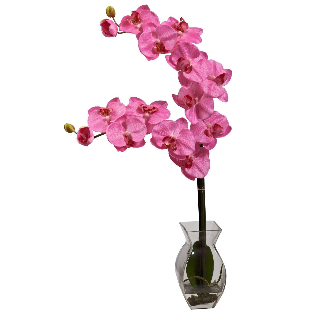 Phalaenopsis Orchid w/Vase Arrangement-Parc Decor