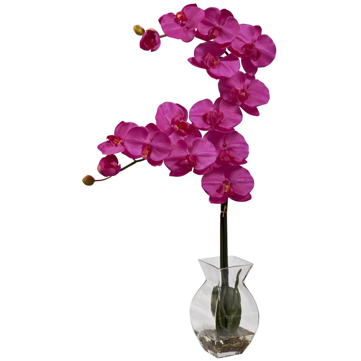 Phalaenopsis Orchid w/Vase Arrangement-Parc Decor